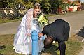 Ritmusfoto_ Piti_Istvan_065